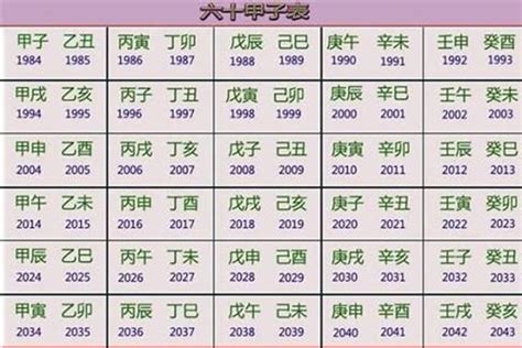 2029年五行|2029年出生的属什么,2029年是什么生肖